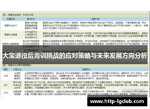 大宝退役后青训挑战的应对策略与未来发展方向分析