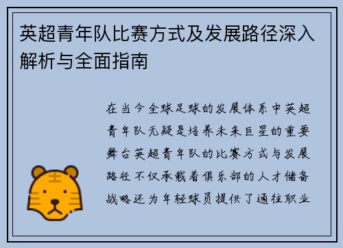 英超青年队比赛方式及发展路径深入解析与全面指南
