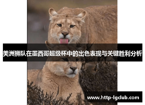 美洲狮队在墨西哥超级杯中的出色表现与关键胜利分析